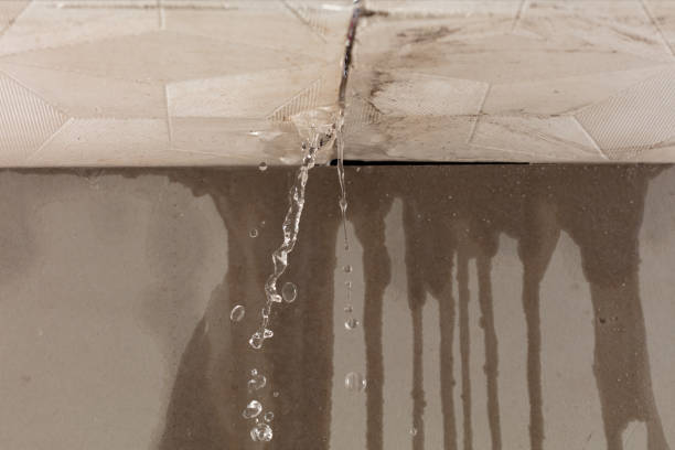 Professional Water Damage Repair technician working in Midway, UT